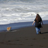 fizgig and morrisa