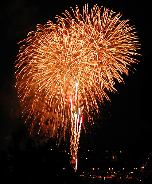 dandelion fireworks