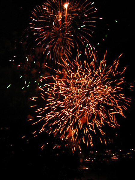 thorny fireworks