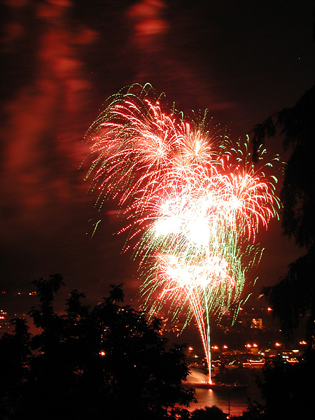 sparkly fireworks 2